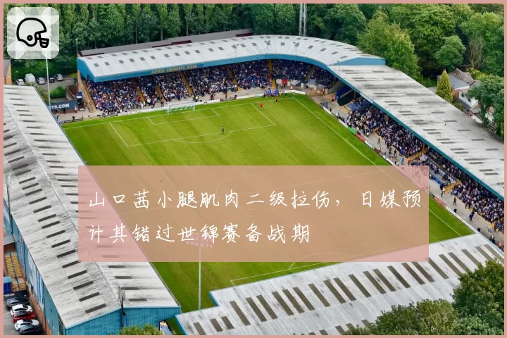 山口茜小腿肌肉二级拉伤,日媒预计其错过世锦赛备战期