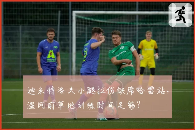 迪米特洛夫小腿拉伤缺席哈雷站，温网前草地训练时间足够？