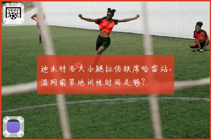 迪米特洛夫小腿拉伤缺席哈雷站，温网前草地训练时间足够？